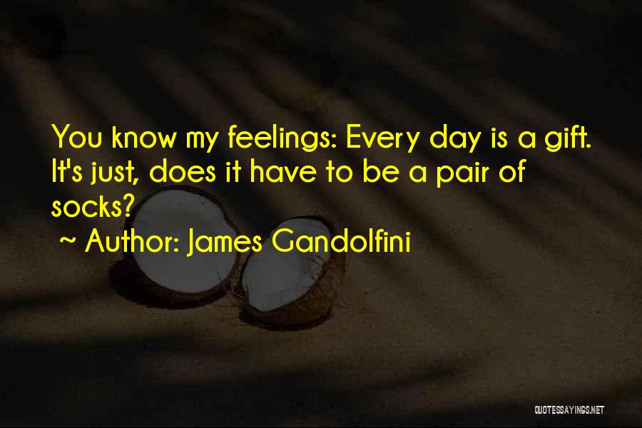 James Gandolfini Quotes: You Know My Feelings: Every Day Is A Gift. It's Just, Does It Have To Be A Pair Of Socks?