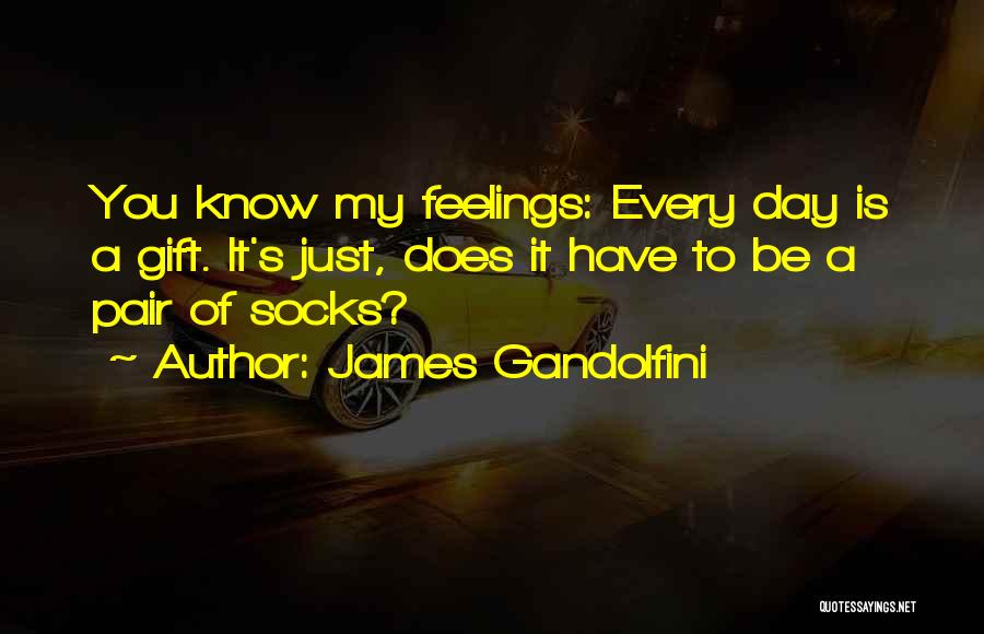 James Gandolfini Quotes: You Know My Feelings: Every Day Is A Gift. It's Just, Does It Have To Be A Pair Of Socks?