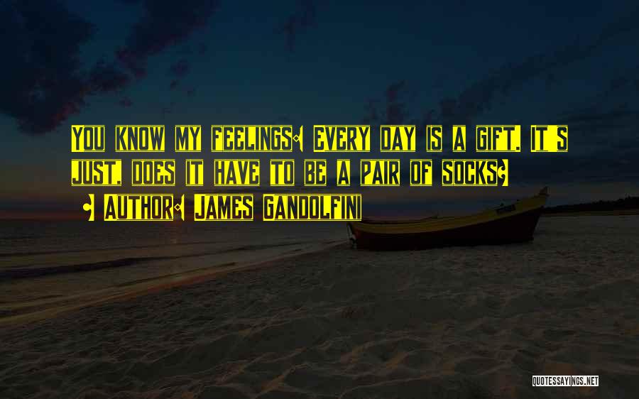 James Gandolfini Quotes: You Know My Feelings: Every Day Is A Gift. It's Just, Does It Have To Be A Pair Of Socks?