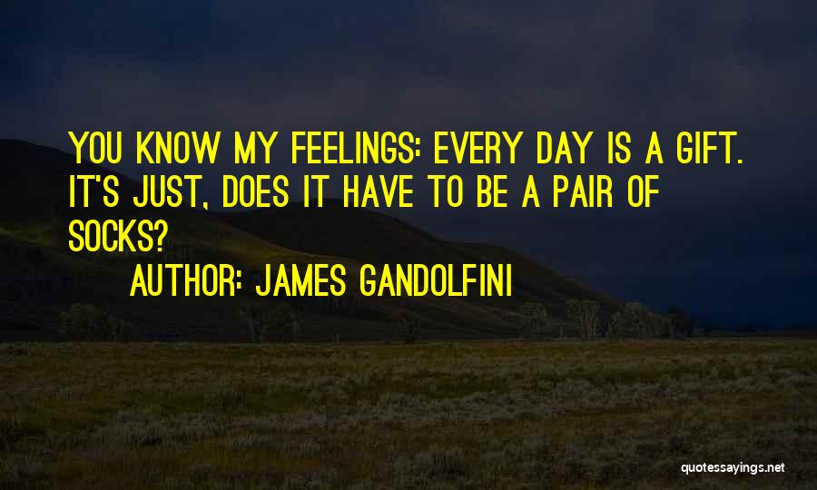 James Gandolfini Quotes: You Know My Feelings: Every Day Is A Gift. It's Just, Does It Have To Be A Pair Of Socks?