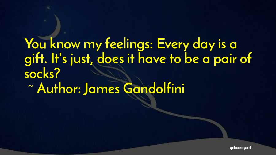 James Gandolfini Quotes: You Know My Feelings: Every Day Is A Gift. It's Just, Does It Have To Be A Pair Of Socks?