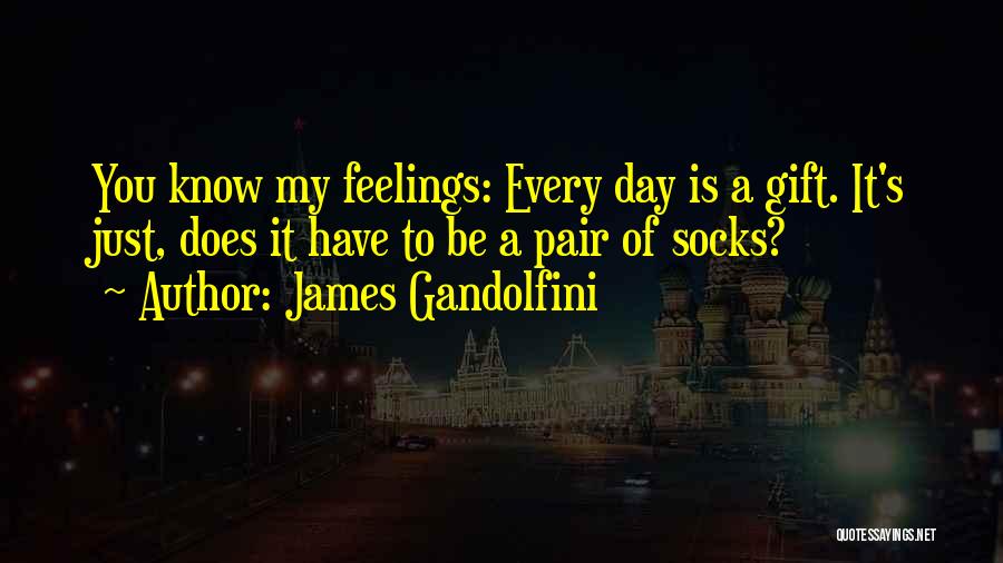 James Gandolfini Quotes: You Know My Feelings: Every Day Is A Gift. It's Just, Does It Have To Be A Pair Of Socks?