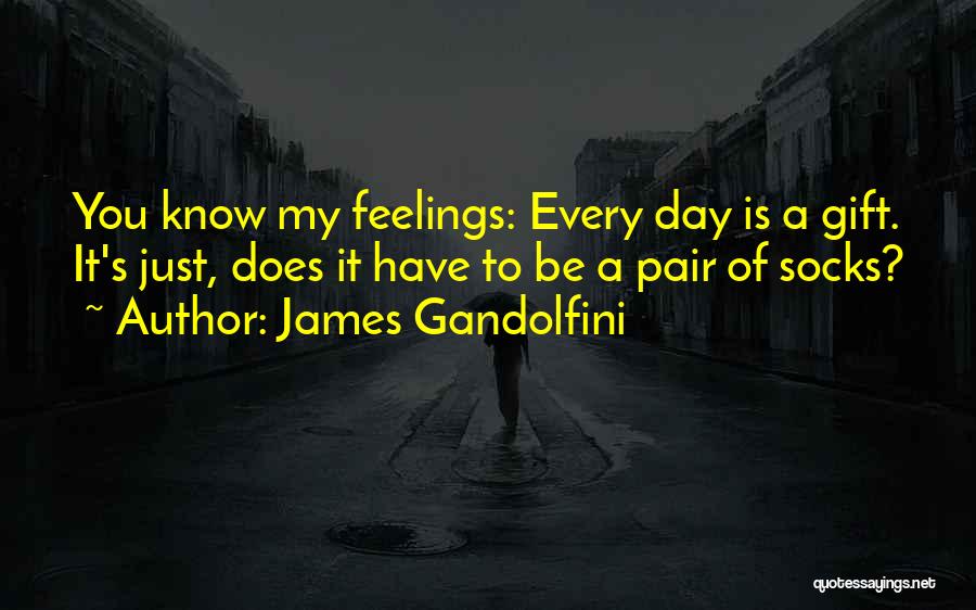 James Gandolfini Quotes: You Know My Feelings: Every Day Is A Gift. It's Just, Does It Have To Be A Pair Of Socks?