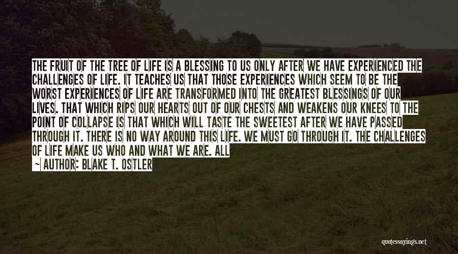 Blake T. Ostler Quotes: The Fruit Of The Tree Of Life Is A Blessing To Us Only After We Have Experienced The Challenges Of