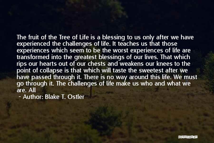 Blake T. Ostler Quotes: The Fruit Of The Tree Of Life Is A Blessing To Us Only After We Have Experienced The Challenges Of