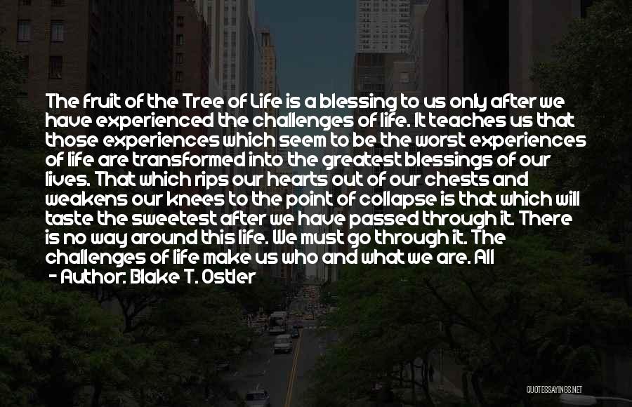 Blake T. Ostler Quotes: The Fruit Of The Tree Of Life Is A Blessing To Us Only After We Have Experienced The Challenges Of