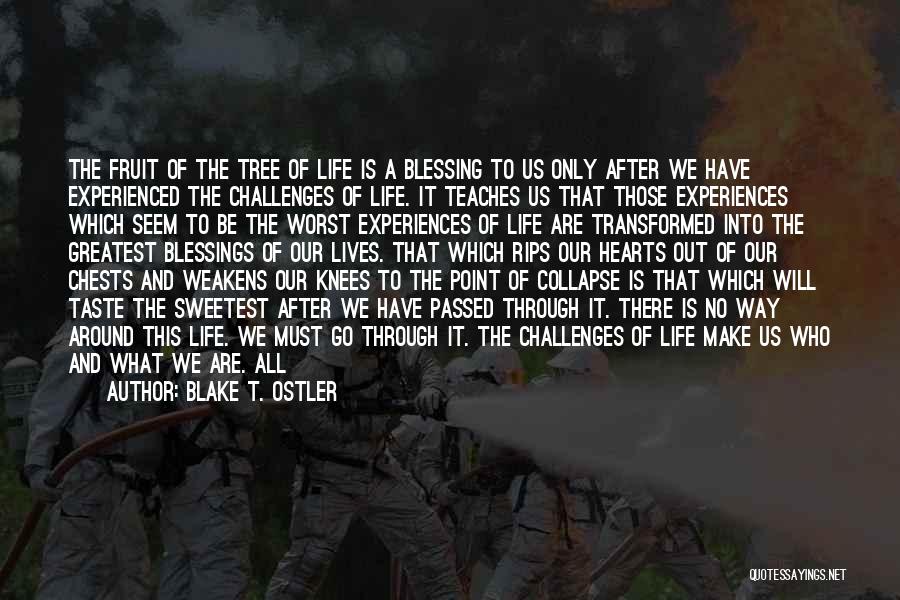 Blake T. Ostler Quotes: The Fruit Of The Tree Of Life Is A Blessing To Us Only After We Have Experienced The Challenges Of