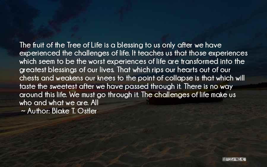 Blake T. Ostler Quotes: The Fruit Of The Tree Of Life Is A Blessing To Us Only After We Have Experienced The Challenges Of