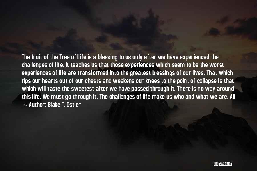 Blake T. Ostler Quotes: The Fruit Of The Tree Of Life Is A Blessing To Us Only After We Have Experienced The Challenges Of