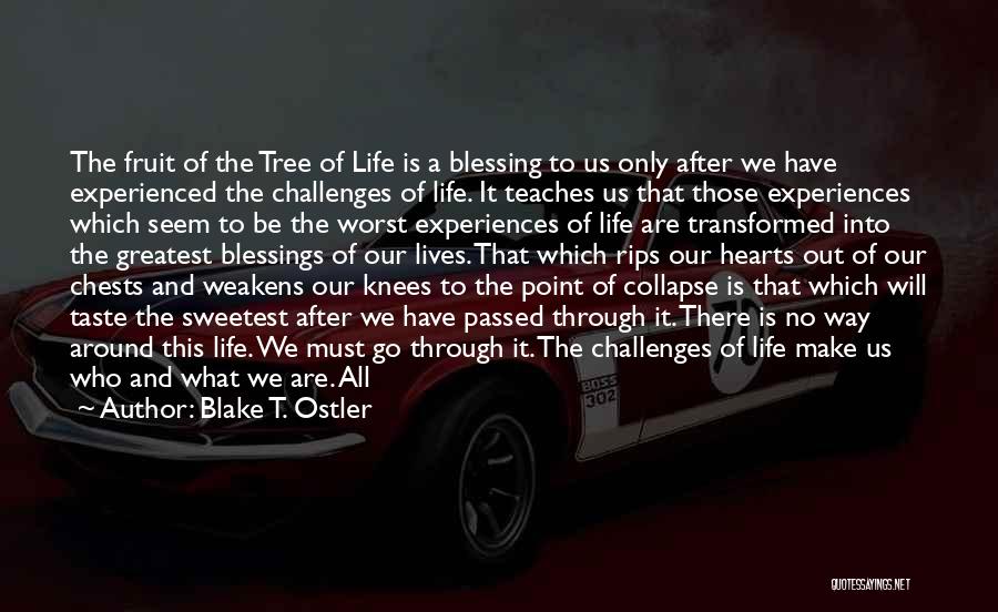 Blake T. Ostler Quotes: The Fruit Of The Tree Of Life Is A Blessing To Us Only After We Have Experienced The Challenges Of