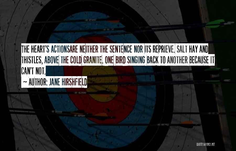 Jane Hirshfield Quotes: The Heart's Actionsare Neither The Sentence Nor Its Reprieve. Salt Hay And Thistles, Above The Cold Granite. One Bird Singing