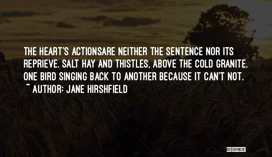 Jane Hirshfield Quotes: The Heart's Actionsare Neither The Sentence Nor Its Reprieve. Salt Hay And Thistles, Above The Cold Granite. One Bird Singing