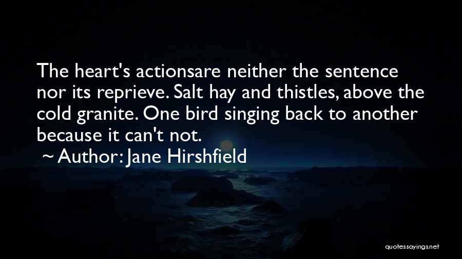 Jane Hirshfield Quotes: The Heart's Actionsare Neither The Sentence Nor Its Reprieve. Salt Hay And Thistles, Above The Cold Granite. One Bird Singing