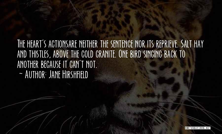Jane Hirshfield Quotes: The Heart's Actionsare Neither The Sentence Nor Its Reprieve. Salt Hay And Thistles, Above The Cold Granite. One Bird Singing