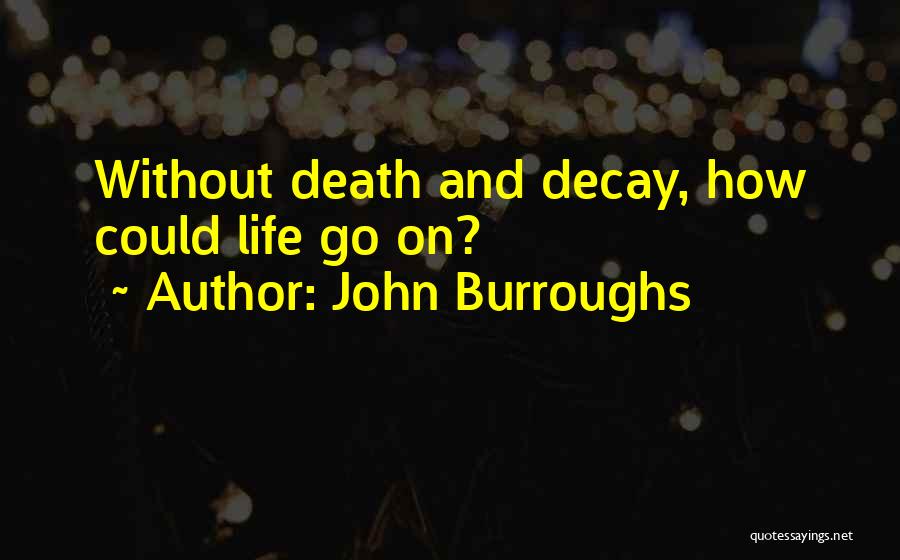 John Burroughs Quotes: Without Death And Decay, How Could Life Go On?