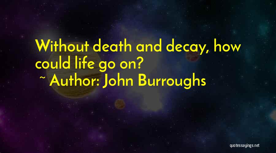 John Burroughs Quotes: Without Death And Decay, How Could Life Go On?