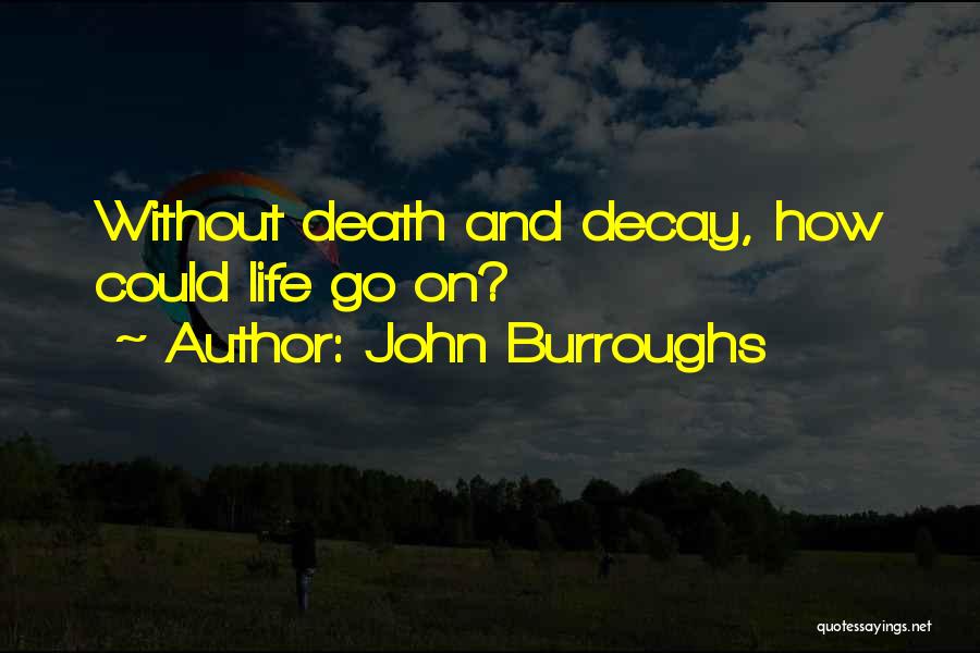 John Burroughs Quotes: Without Death And Decay, How Could Life Go On?