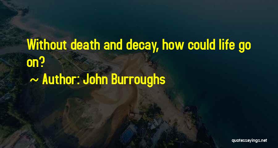 John Burroughs Quotes: Without Death And Decay, How Could Life Go On?