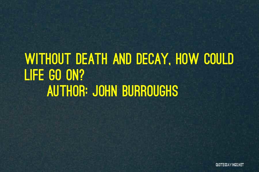 John Burroughs Quotes: Without Death And Decay, How Could Life Go On?