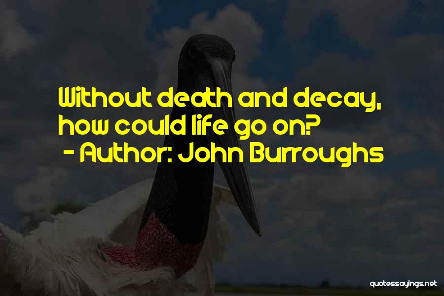 John Burroughs Quotes: Without Death And Decay, How Could Life Go On?