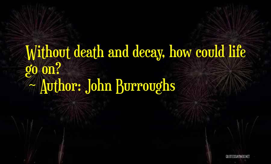 John Burroughs Quotes: Without Death And Decay, How Could Life Go On?