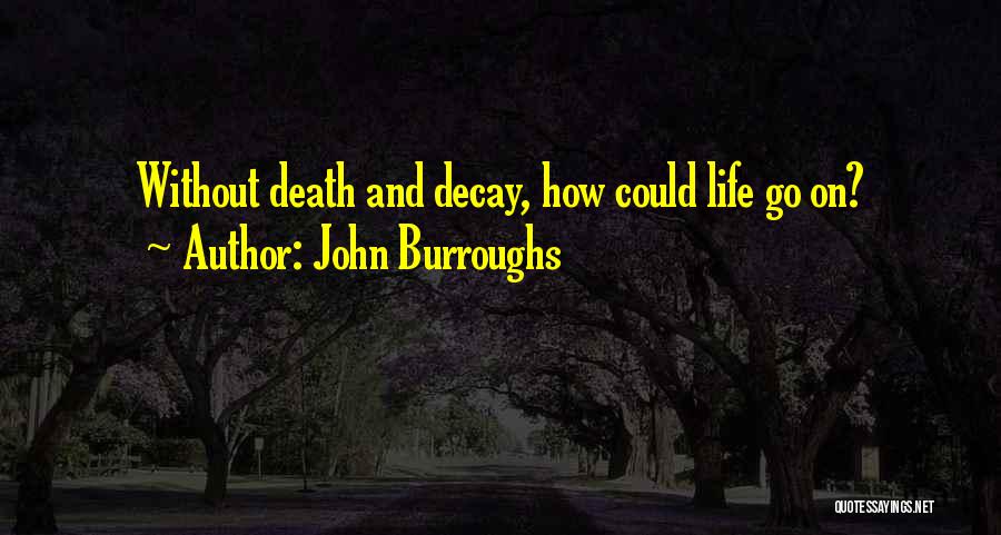 John Burroughs Quotes: Without Death And Decay, How Could Life Go On?