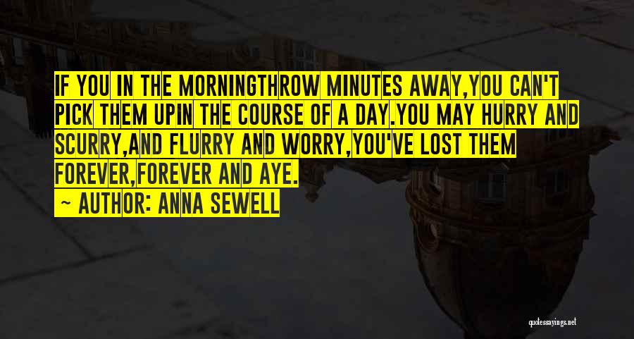 Anna Sewell Quotes: If You In The Morningthrow Minutes Away,you Can't Pick Them Upin The Course Of A Day.you May Hurry And Scurry,and