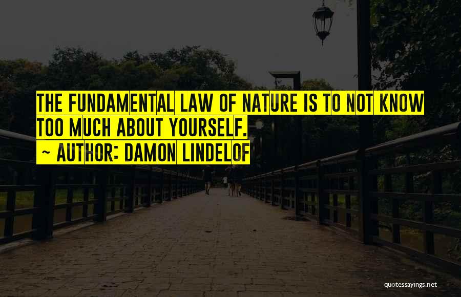Damon Lindelof Quotes: The Fundamental Law Of Nature Is To Not Know Too Much About Yourself.