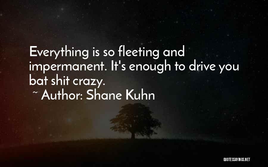 Shane Kuhn Quotes: Everything Is So Fleeting And Impermanent. It's Enough To Drive You Bat Shit Crazy.