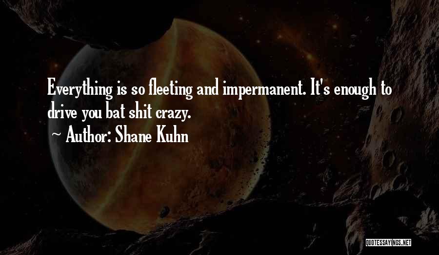 Shane Kuhn Quotes: Everything Is So Fleeting And Impermanent. It's Enough To Drive You Bat Shit Crazy.