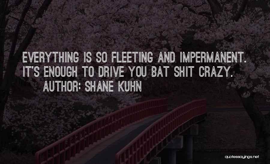 Shane Kuhn Quotes: Everything Is So Fleeting And Impermanent. It's Enough To Drive You Bat Shit Crazy.