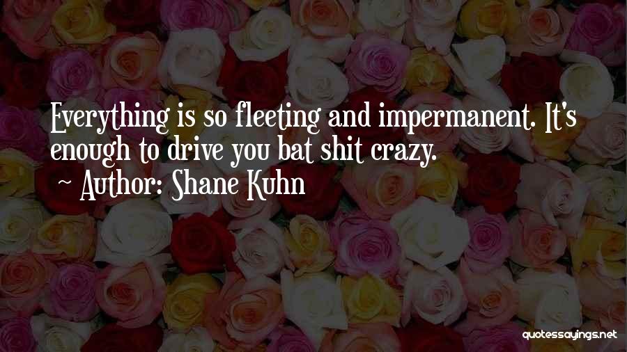 Shane Kuhn Quotes: Everything Is So Fleeting And Impermanent. It's Enough To Drive You Bat Shit Crazy.