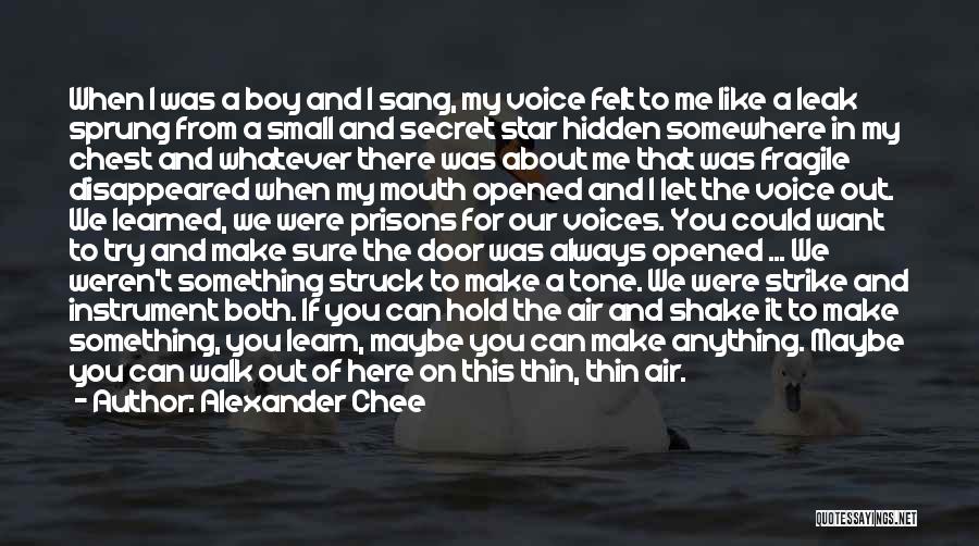 Alexander Chee Quotes: When I Was A Boy And I Sang, My Voice Felt To Me Like A Leak Sprung From A Small