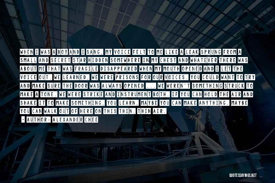 Alexander Chee Quotes: When I Was A Boy And I Sang, My Voice Felt To Me Like A Leak Sprung From A Small