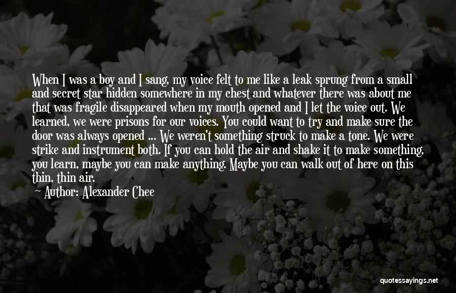 Alexander Chee Quotes: When I Was A Boy And I Sang, My Voice Felt To Me Like A Leak Sprung From A Small