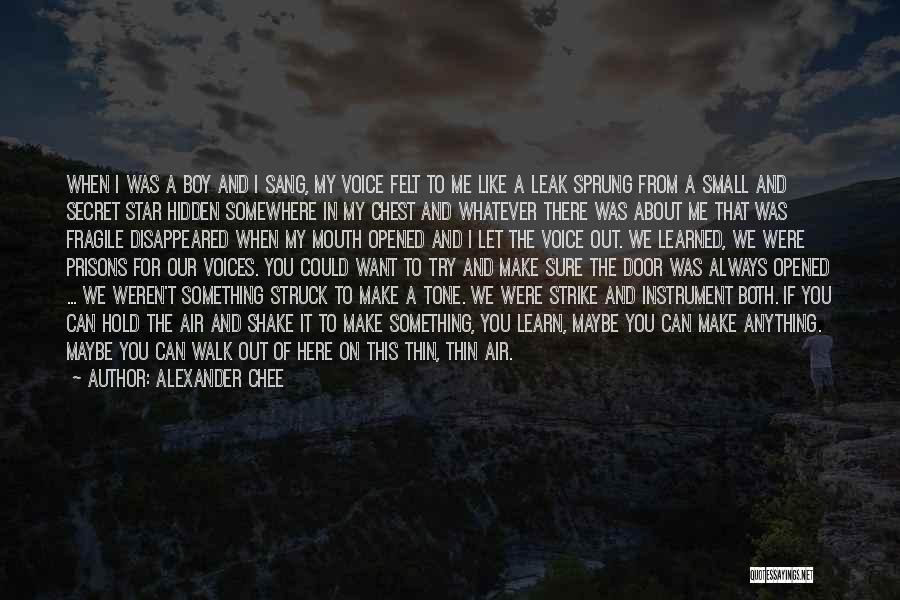 Alexander Chee Quotes: When I Was A Boy And I Sang, My Voice Felt To Me Like A Leak Sprung From A Small