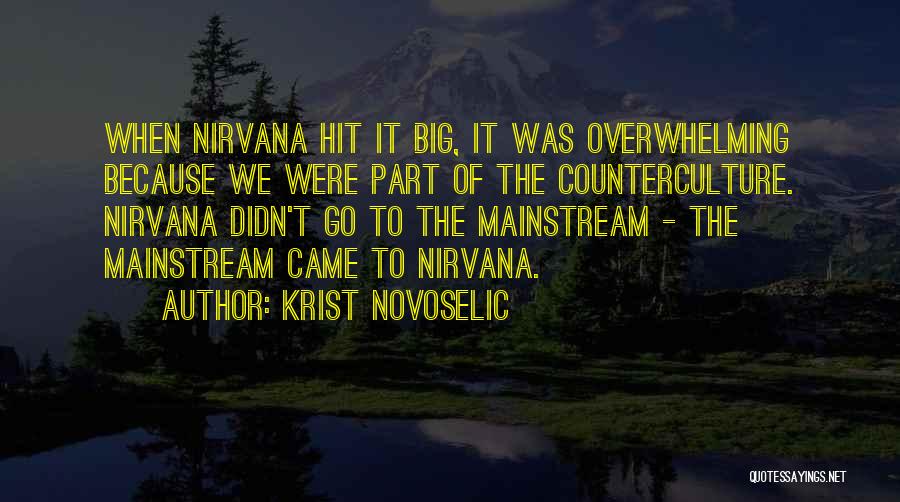 Krist Novoselic Quotes: When Nirvana Hit It Big, It Was Overwhelming Because We Were Part Of The Counterculture. Nirvana Didn't Go To The