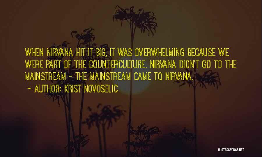 Krist Novoselic Quotes: When Nirvana Hit It Big, It Was Overwhelming Because We Were Part Of The Counterculture. Nirvana Didn't Go To The