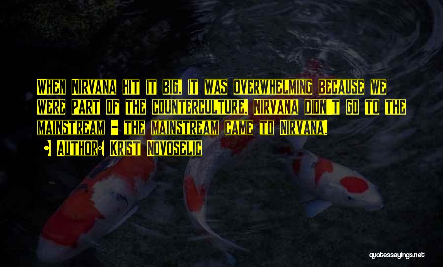 Krist Novoselic Quotes: When Nirvana Hit It Big, It Was Overwhelming Because We Were Part Of The Counterculture. Nirvana Didn't Go To The