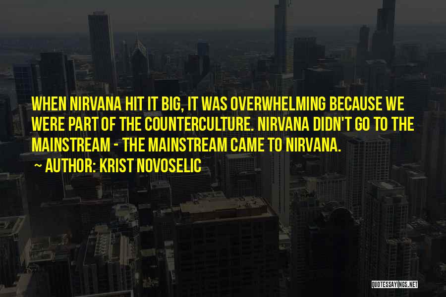 Krist Novoselic Quotes: When Nirvana Hit It Big, It Was Overwhelming Because We Were Part Of The Counterculture. Nirvana Didn't Go To The