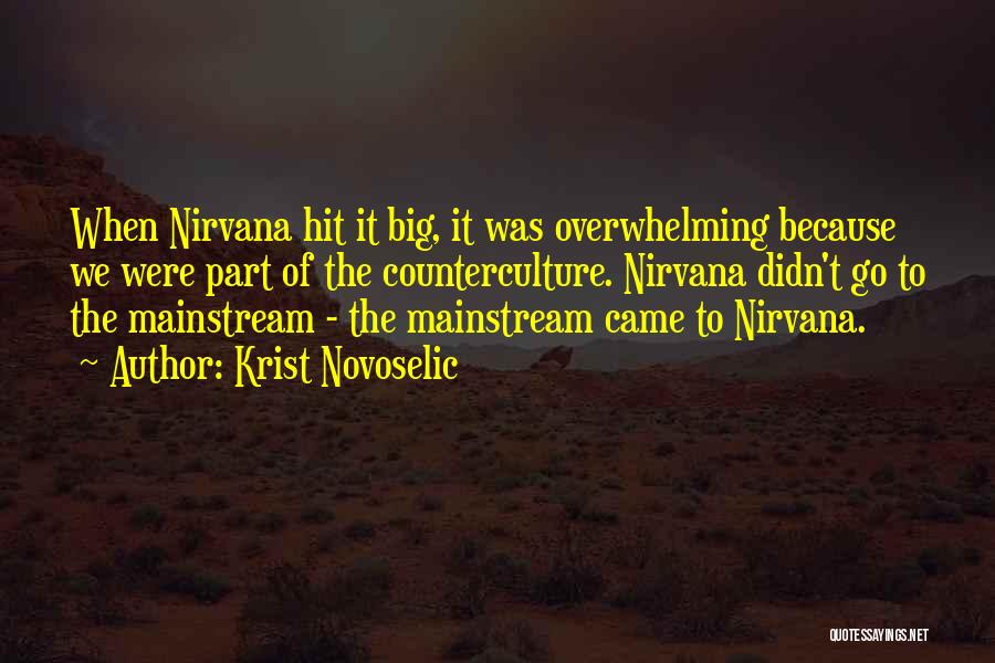 Krist Novoselic Quotes: When Nirvana Hit It Big, It Was Overwhelming Because We Were Part Of The Counterculture. Nirvana Didn't Go To The