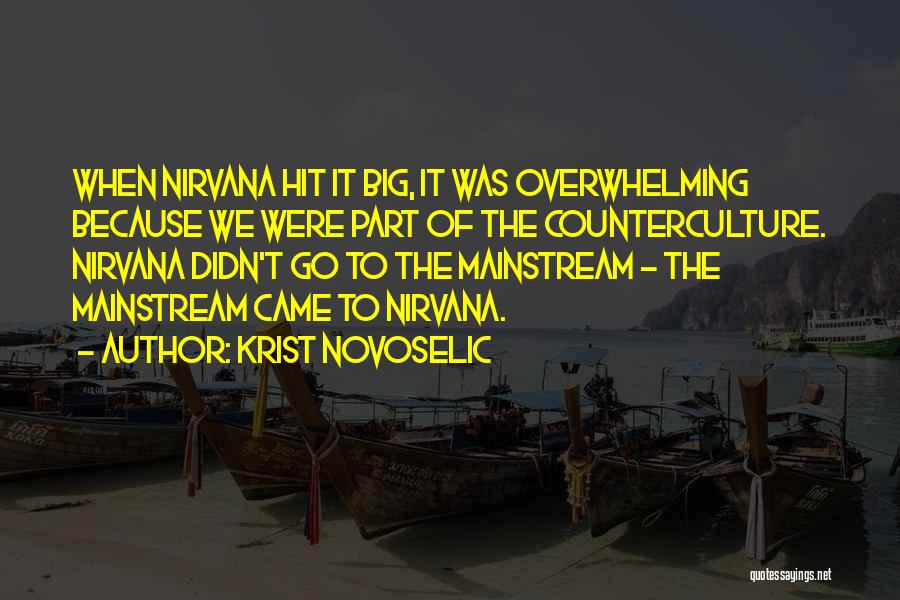 Krist Novoselic Quotes: When Nirvana Hit It Big, It Was Overwhelming Because We Were Part Of The Counterculture. Nirvana Didn't Go To The