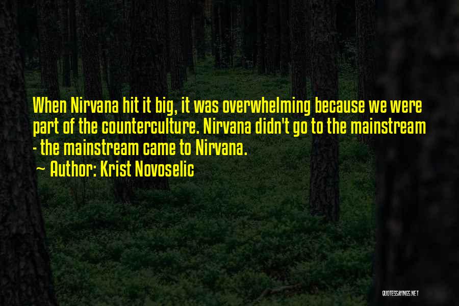 Krist Novoselic Quotes: When Nirvana Hit It Big, It Was Overwhelming Because We Were Part Of The Counterculture. Nirvana Didn't Go To The