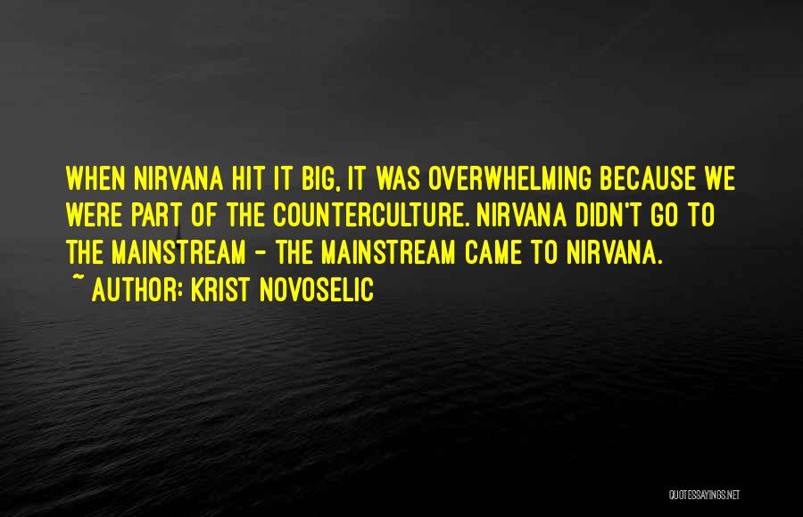 Krist Novoselic Quotes: When Nirvana Hit It Big, It Was Overwhelming Because We Were Part Of The Counterculture. Nirvana Didn't Go To The