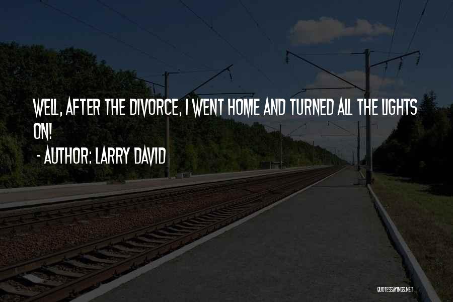 Larry David Quotes: Well, After The Divorce, I Went Home And Turned All The Lights On!