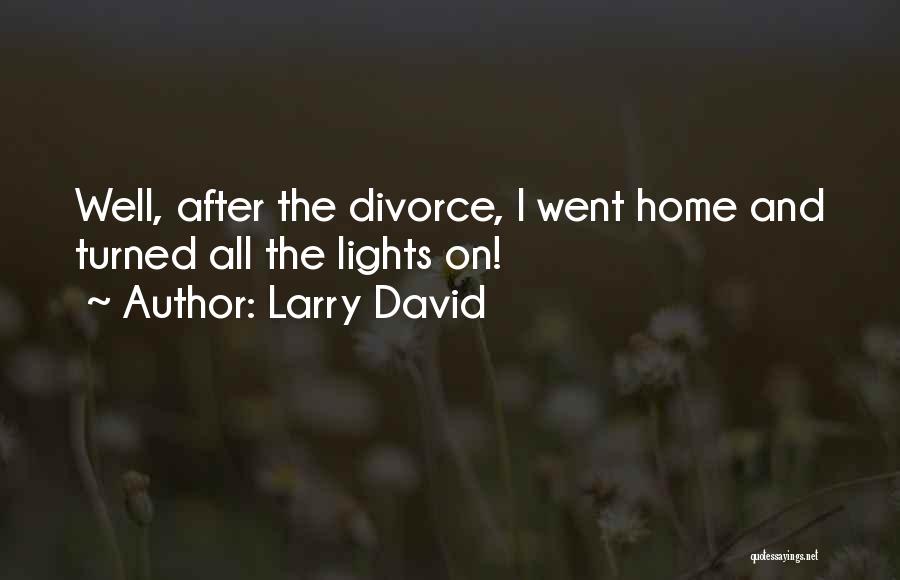 Larry David Quotes: Well, After The Divorce, I Went Home And Turned All The Lights On!