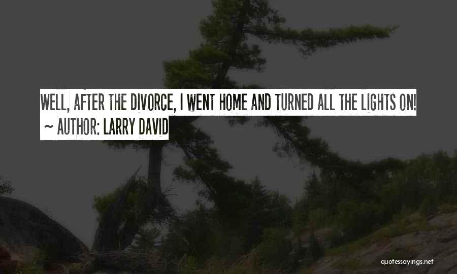Larry David Quotes: Well, After The Divorce, I Went Home And Turned All The Lights On!