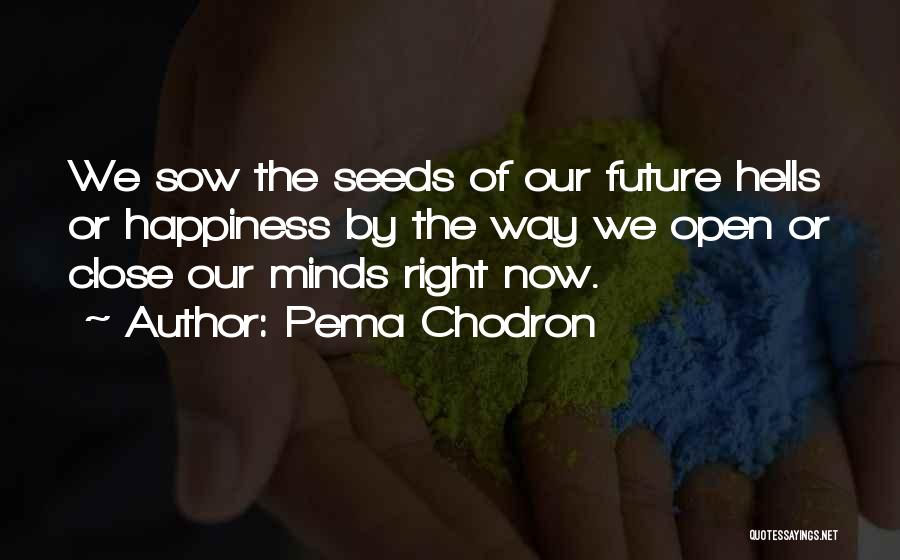 Pema Chodron Quotes: We Sow The Seeds Of Our Future Hells Or Happiness By The Way We Open Or Close Our Minds Right