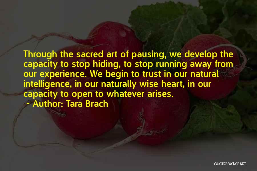 Tara Brach Quotes: Through The Sacred Art Of Pausing, We Develop The Capacity To Stop Hiding, To Stop Running Away From Our Experience.