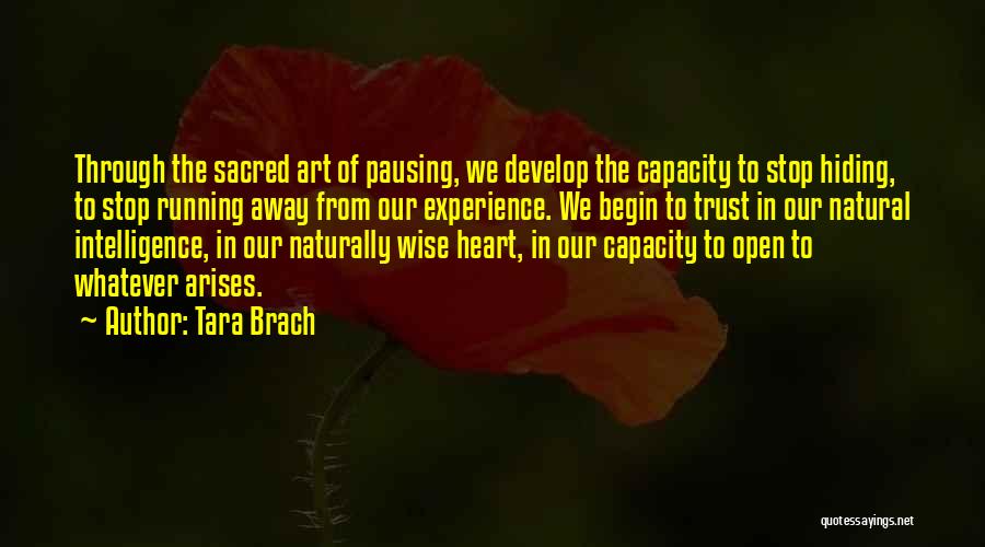 Tara Brach Quotes: Through The Sacred Art Of Pausing, We Develop The Capacity To Stop Hiding, To Stop Running Away From Our Experience.